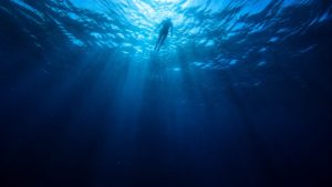 La Magia de Jaws como Comfort Movie