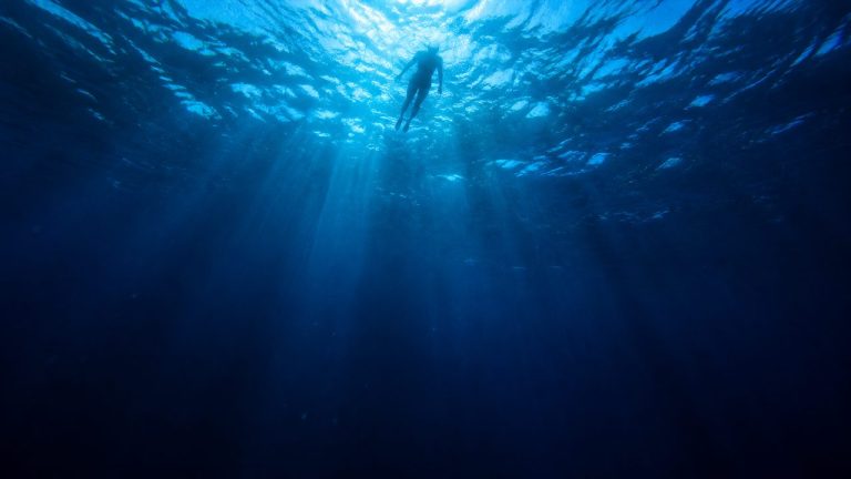 La Magia de Jaws como Comfort Movie