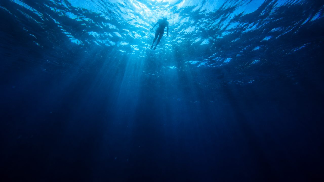 La Magia de Jaws como Comfort Movie